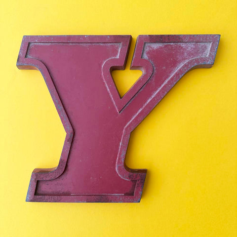 Y - 9 Inch Red Italic Metal Letter