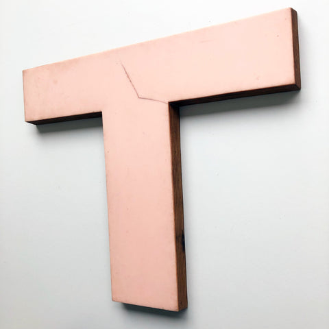 T - 12 Inch Letter Ply and Perspex